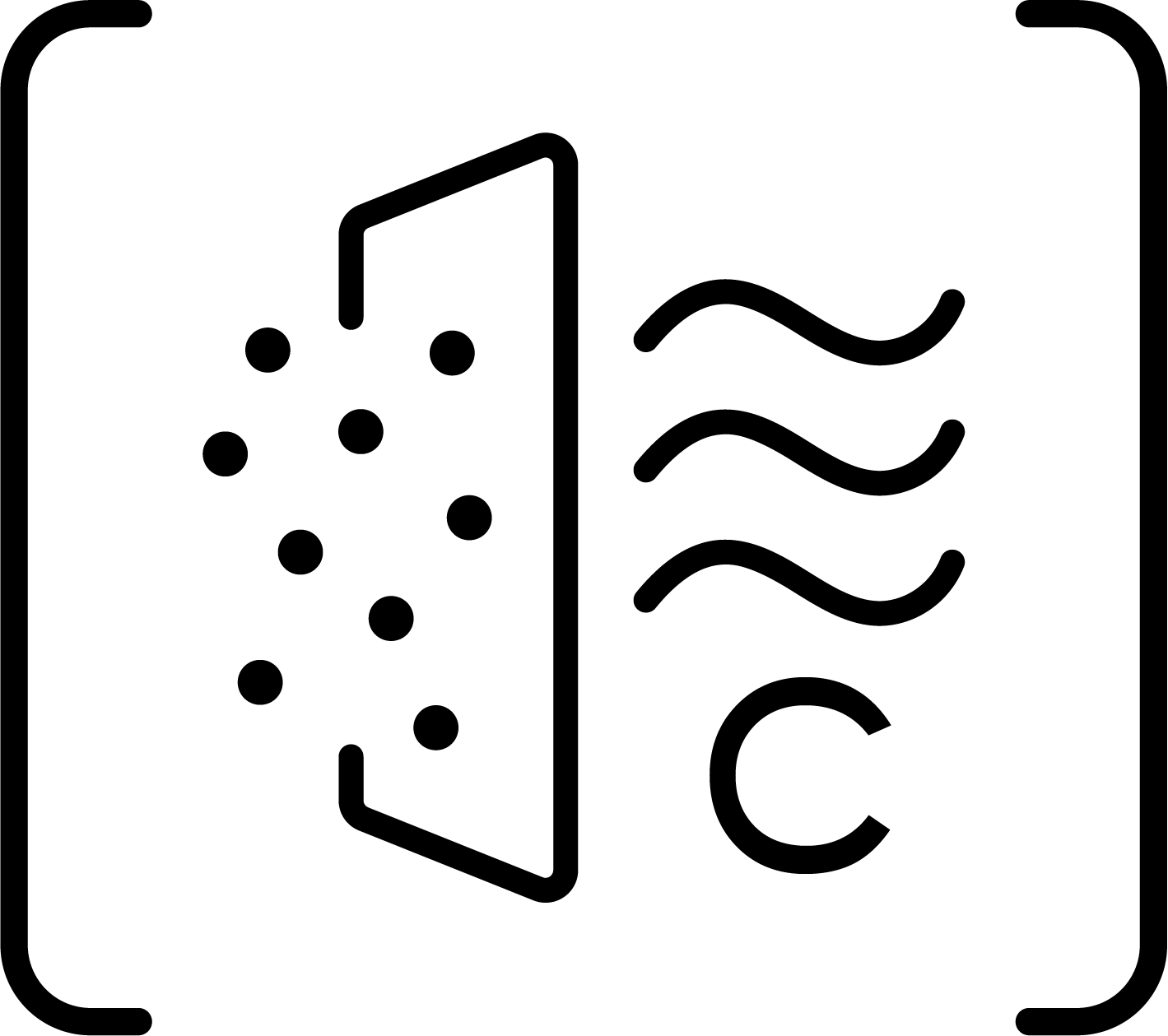 Filter Carbon